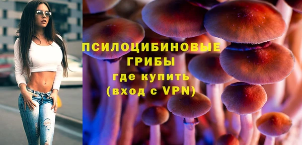 spice Михайлов