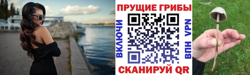 Галлюциногенные грибы мухоморы продажа наркотиков Энем