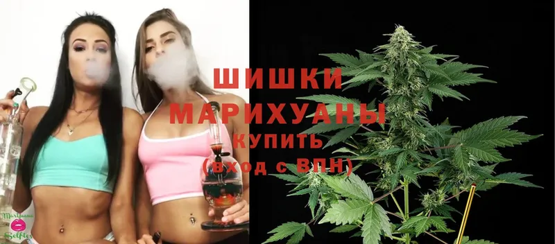 Бошки Шишки SATIVA & INDICA  Энем 